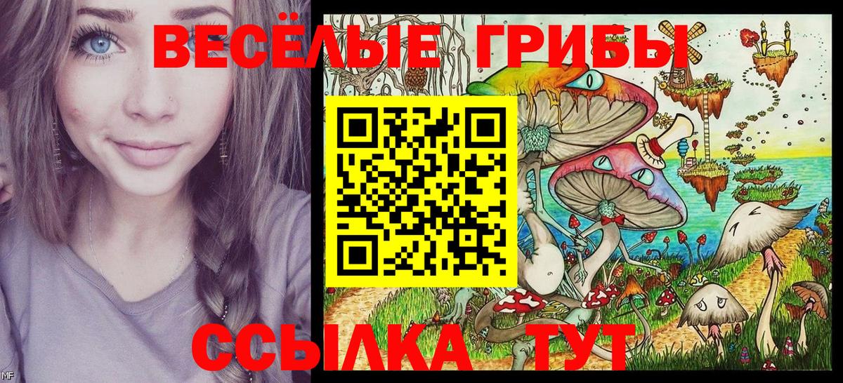 Псилоцибиновые грибы мицелий Дмитров