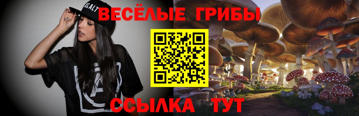 Псилоцибиновые грибы мицелий  Псилоцибиновые грибы Cubensis  Вход с VPN  Дмитров 